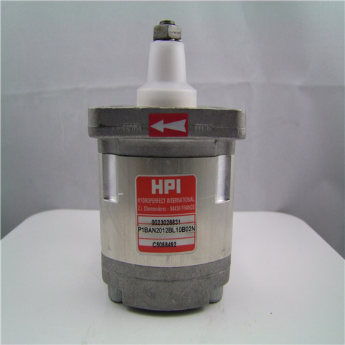 HPI GEAR PUMP P1BAN2012BL10B02N