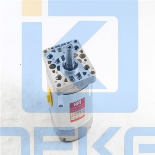 HPI GEAR PUMP P1BAN2015FL20C02N C5089551