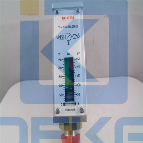 BIERI PRESSURE SWITCH DV7.250.29025