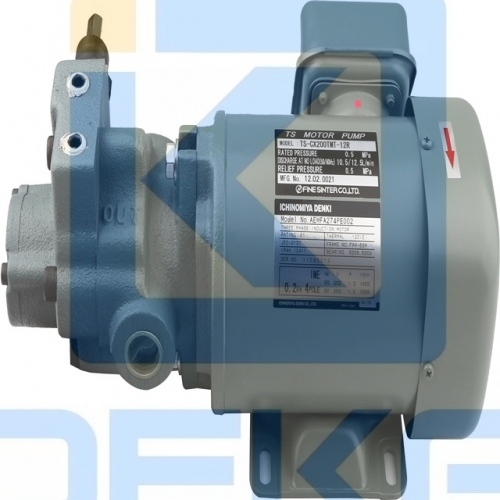 TS MOTOR PUMP TS-CX200TMT-12R 0.2KW