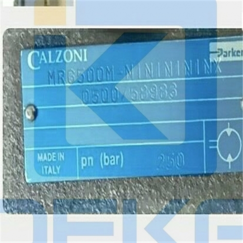 CALZONI PISTON MOTOR MR6500M-N1N1N1N1NX