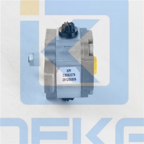 HPI GEAR PUMP P3AAN0075FL20B01N C5082379