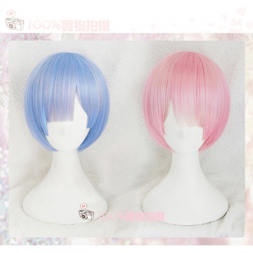 Re:Zero kara Hajimeru Isekai Seikatsu Rem Ram Wig