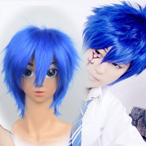 Fairy Tail Jellal Wig