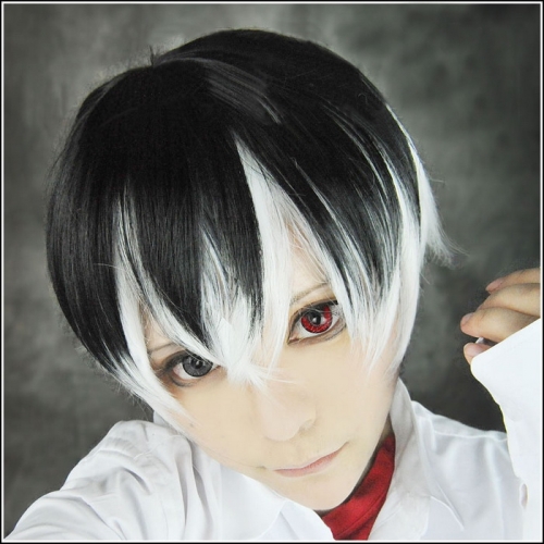 Tokyo Ghoul Haise Sasaki Wig