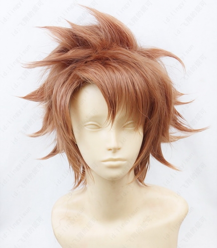 Psycho Pass Shuusei Cosplay Wig