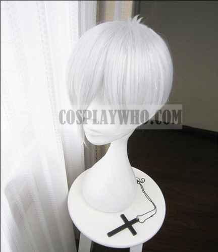 Houseki no Kuni Antarcticite Cosplay Wig