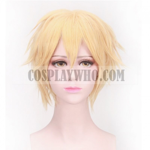 Miraculous Ladybug Cat Noir Cosplay Wig