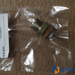 XCMG Wheel Loade LW600KN Water Temperature Sensor