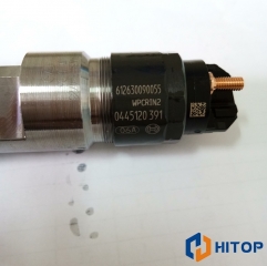 XCMG Weichai Fuel Injector Assembly