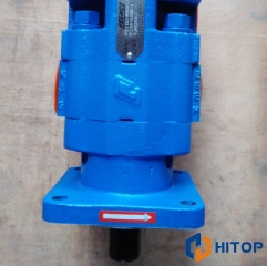 XCMG Hydraulic Pump Pomke Double Gear Pump