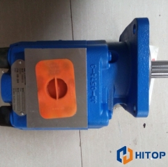 XCMG Hydraulic Pump P5100-F100C Gear Pump