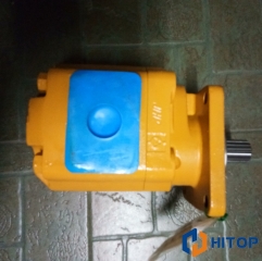 XCMG Hydraulic Pump Gear Pump