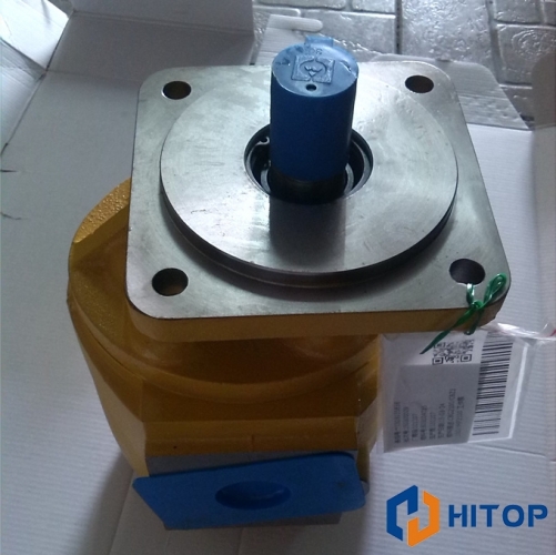 XCMG Hydraulic Pump Working Pump