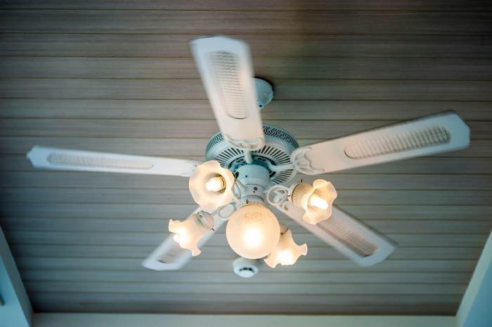 Small led bulbs for shop ceiling fans