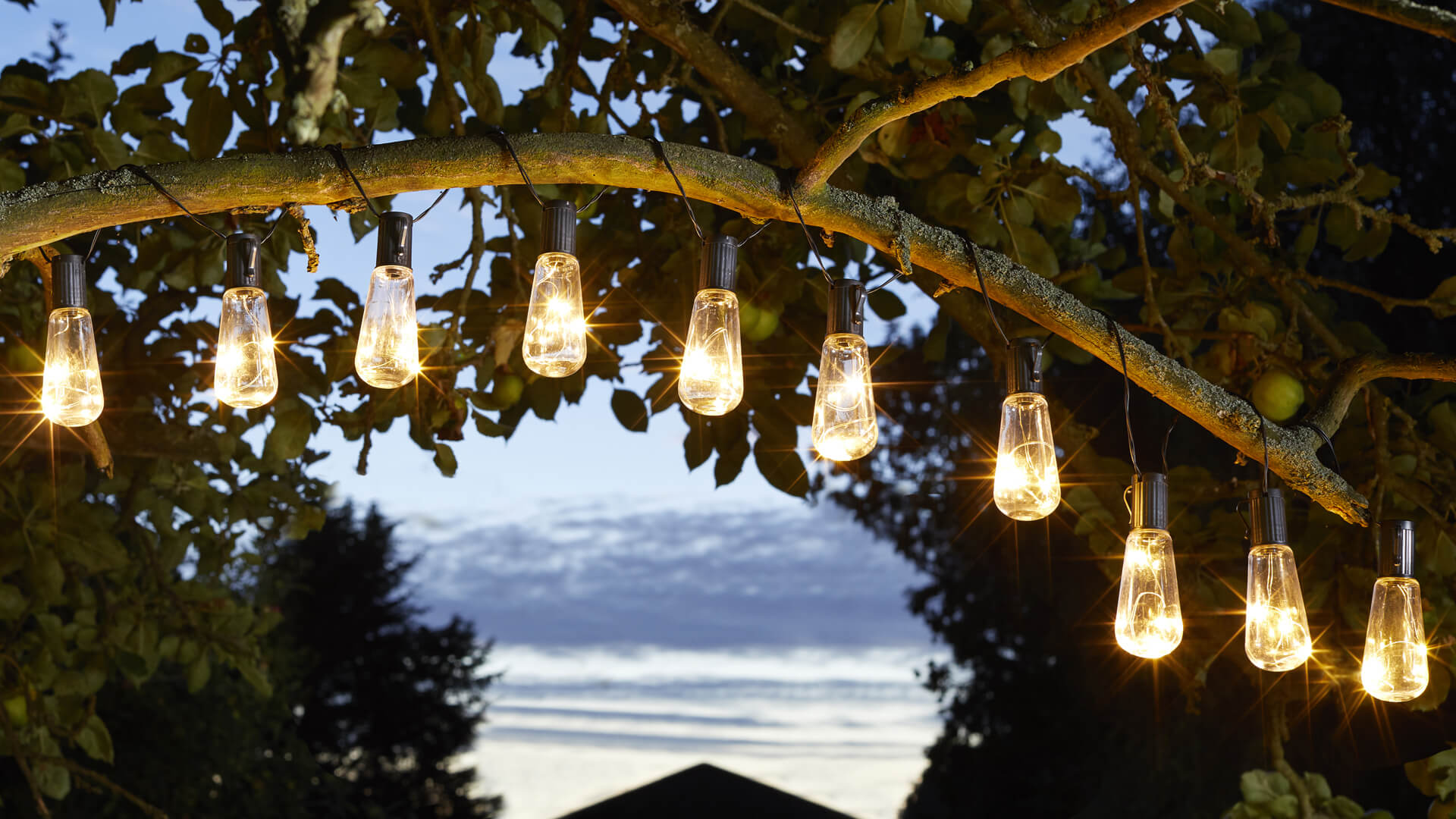 Solar lights for deals trees