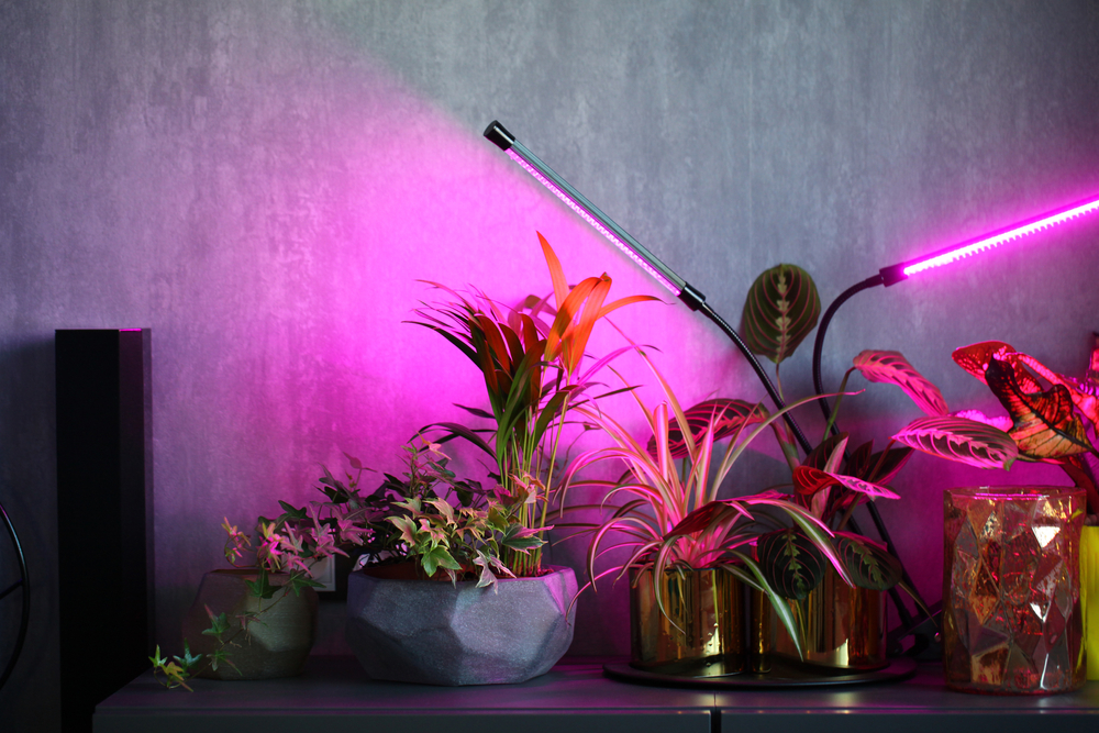 Philips hue grow deals light