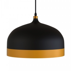 Nordic Matte Industrial Hanging Pendant Light,Black and Gold Finish