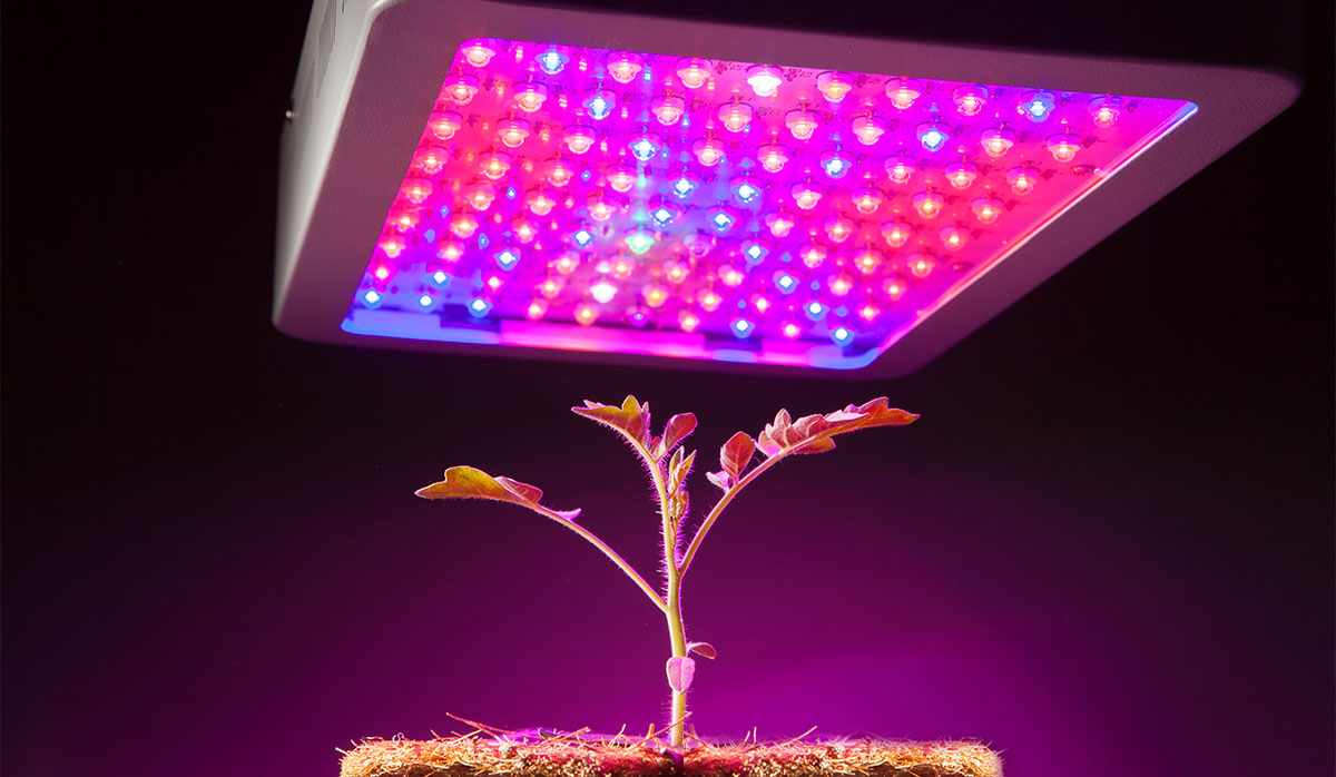 What is a full store spectrum grow light