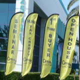 custom flutter flags