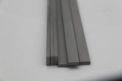 Profiled standard blanks carbide strips