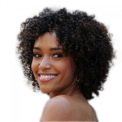 short afro kinky curly wig 100 human hair 130 density
