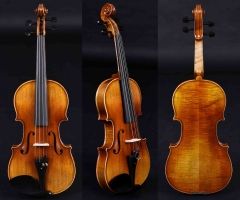 VA-501 Classical Series violins