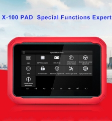 X-100 PAD key programmer and odometer adjustment
