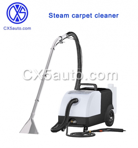 Steam carpet cleaner