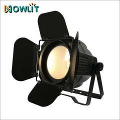 QR-C200C 200W Warm White LED COB PAR Light