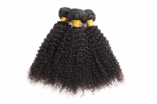 FashionPlus Hair Hot Selling Virgin Malaysian Kinky Curly Human Hair Weaving 3pcs/Pack
