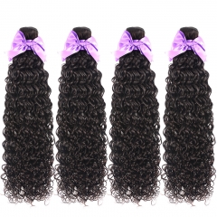 FashionPlus 4 Bundles Water Wave 10A Virgin Brazilian Hair Unprocessed Mink Hair Extension