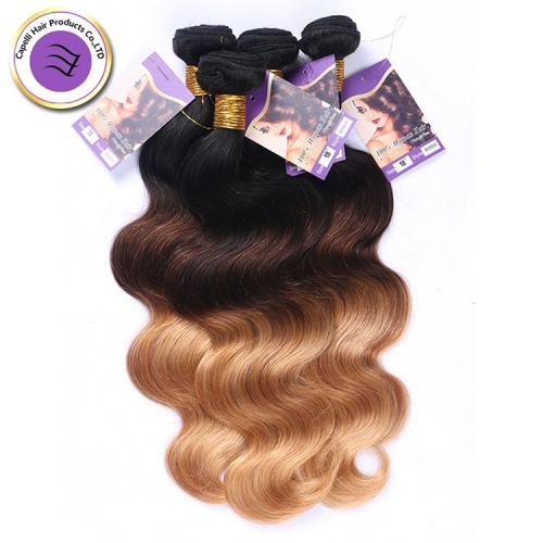 Fashionplus Hair 4 bundles 9A Grade Ombre Brazilian Virgin Hair Body Wave Human Hair Two/Three Tone Ombre Hair Weave Weft