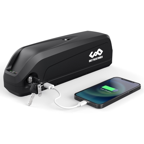 48v 1000w Battery 48V 12Ah 15AH Ebike Battery Reention Dorado