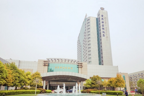 SOFITEL zhengzhou  international hotel carpet