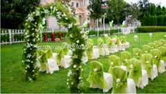 Artificial Grass Carpet SGS Approved Cheap Price