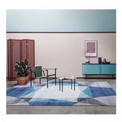 Modern Design Carpet Rugs in Living Room