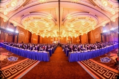 Supplier Wholesale Large 5 Star Design Banquet Hall Hospitality Room Luxury Hotel Carpet Tapis For Hotel and office