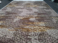 80%Wool 20% Nylon Axminster Hotel Banquet Hall Carpet Wall to Wall Carpet