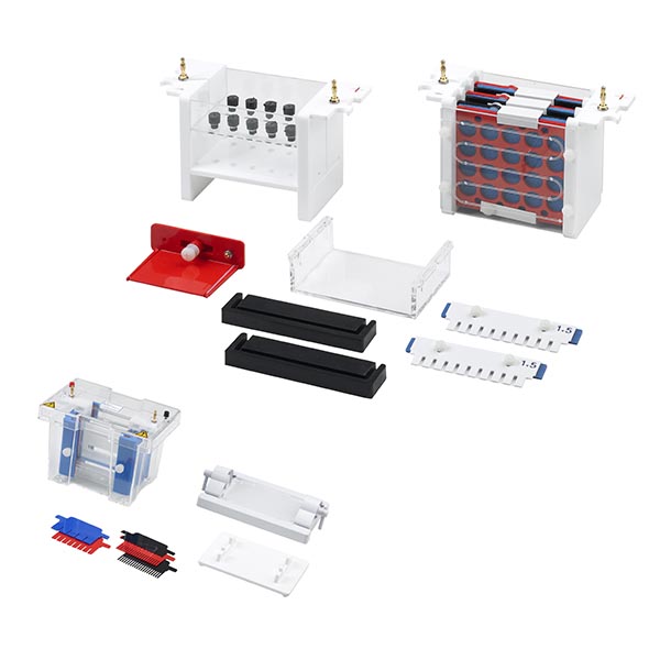 Mini PAGE System vertical electrophoresis system