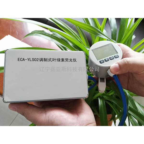 ECAYLS02 chlorophyll fluorometer