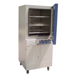 DZF-6210 vertical vacuum drying oven