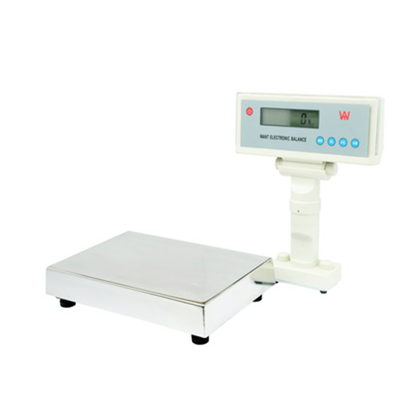 WT6000B split electronic balance