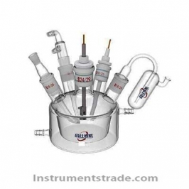 C004 five-port electrochemical cell for Electrochemistry