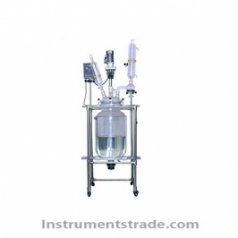 BL-30L double glass reactor