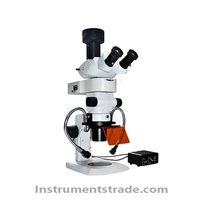 MZX81 Stereo Fluorescence Microscope