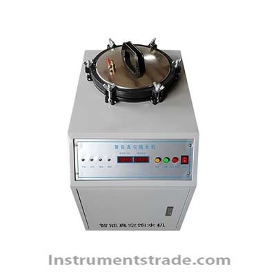 RJDH intelligent fully automatic vacuum saturation machine