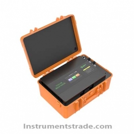 TY2000-B portable gas detector