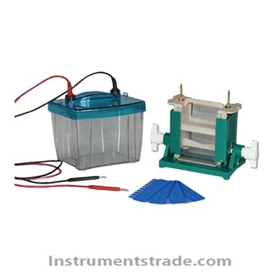 DYCZ-25D Dual Vertical Electrophoresis System