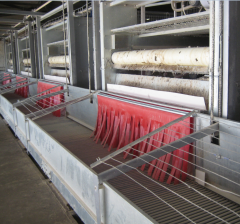 H Type Broiler Cages